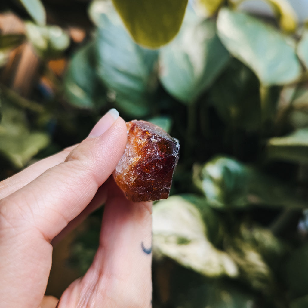 RAW CITRINE CRYSTAL POINTS